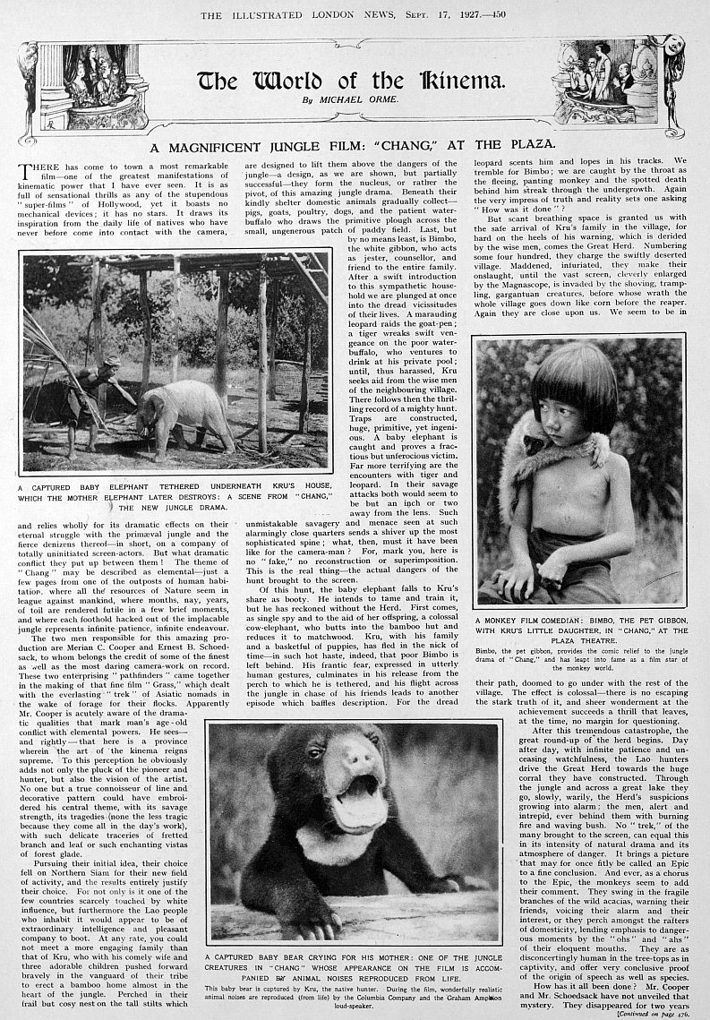World of the Kinema